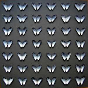 Henk Broeke O.68 - Butterflys in black - 63 x 63 cm - Plywood,acryl & mussels